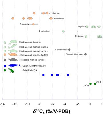 Multi-isotopic analysis reveals the early stem turtle Odontochelys as a nearshore herbivorous forager